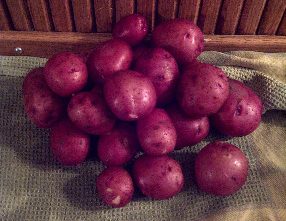 New_red_potatoes_2